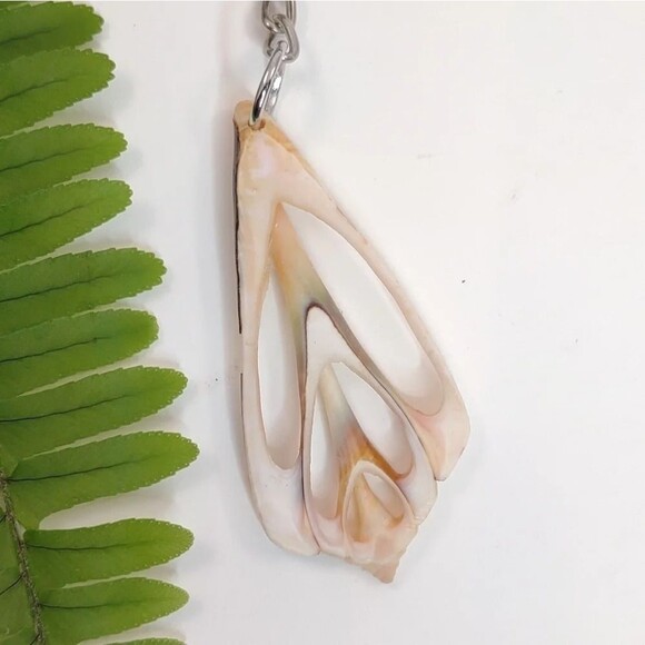 Seashell Keyring Slice Conch Seashell Clearwater Beach, Florida - Picture 9 of 13